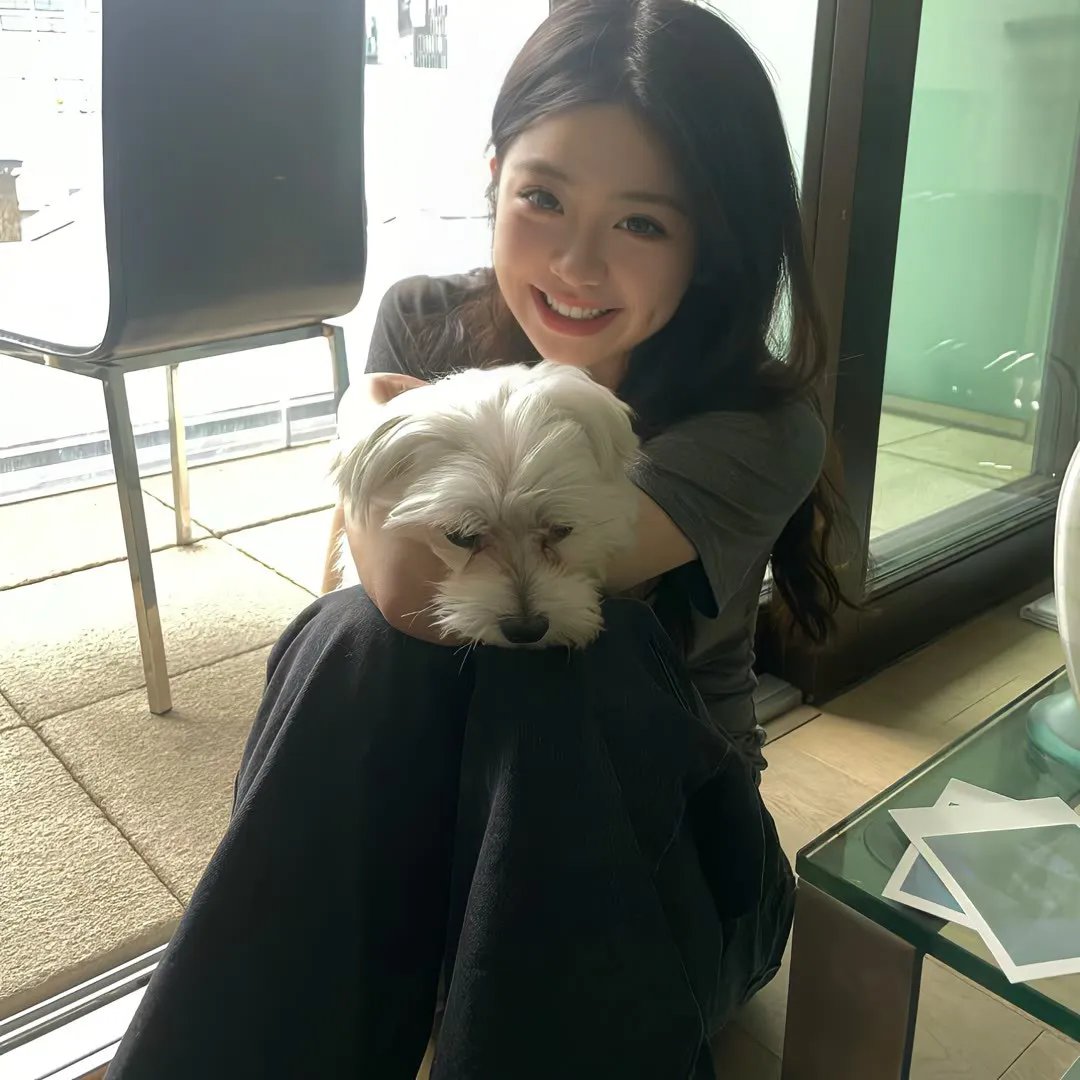 燕子盗